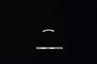 陶環藏品圖，第1張